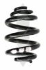 SPIDAN 86854 Coil Spring